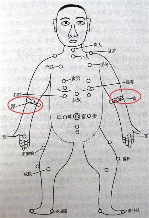 手臂長痣代表什麼|痣的位置透露出這些訊息！上手臂有痣不乏追求者、手。